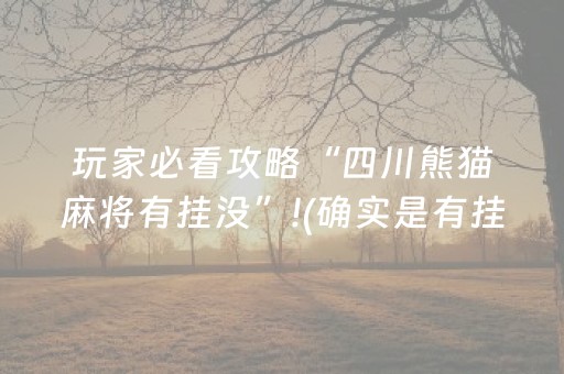 玩家必看攻略“四川熊猫麻将有挂没”!(确实是有挂)-抖音