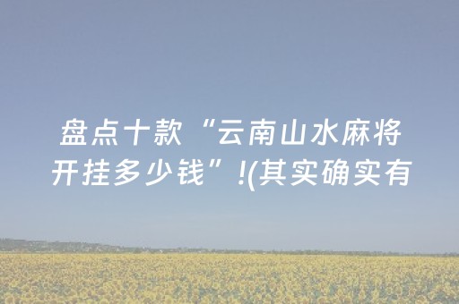 盘点十款“云南山水麻将开挂多少钱”!(其实确实有挂)-抖音
