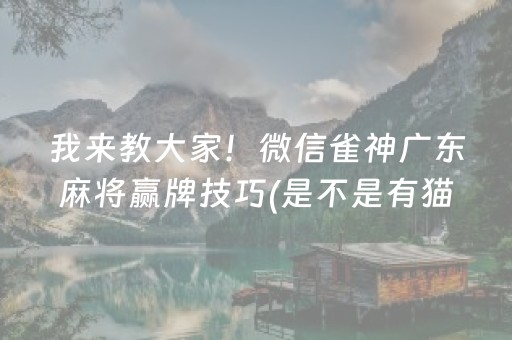 我来教大家！微信雀神广东麻将赢牌技巧(是不是有猫腻)