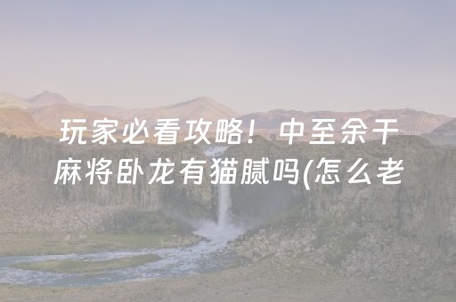 玩家必看攻略！中至余干麻将卧龙有猫腻吗(怎么老输必备神器)