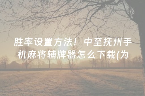 胜率设置方法！中至抚州手机麻将辅牌器怎么下载(为什么老输)
