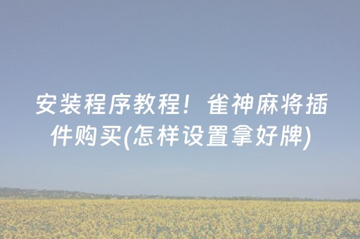 安装程序教程！雀神麻将插件购买(怎样设置拿好牌)
