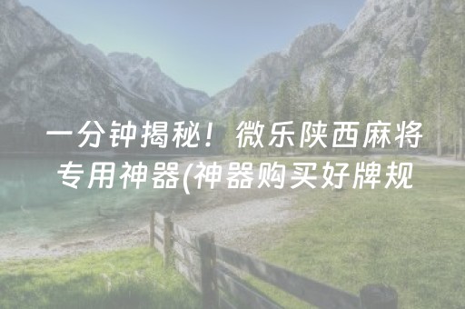 一分钟揭秘！微乐陕西麻将专用神器(神器购买好牌规律)