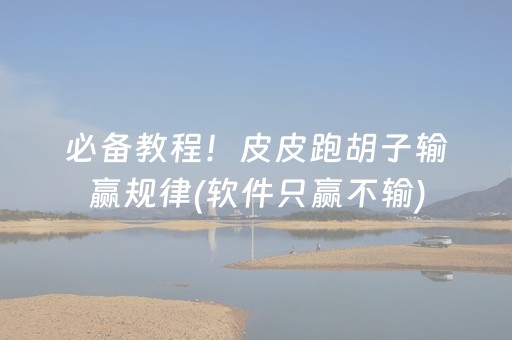 必备教程！皮皮跑胡子输赢规律(软件只赢不输)