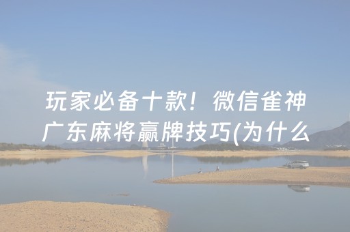 玩家必备十款！微信雀神广东麻将赢牌技巧(为什么老是输呢)