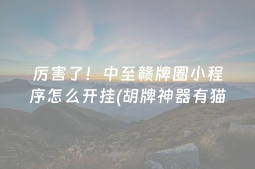 厉害了！中至赣牌圈小程序怎么开挂(胡牌神器有猫腻吗)