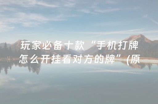 玩家必备十款“手机打牌怎么开挂看对方的牌”(原来真的有挂)-抖音
