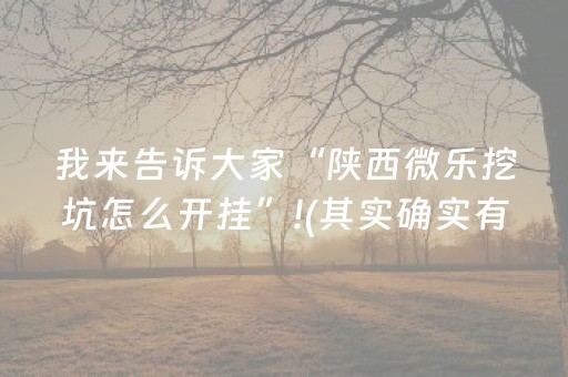 我来告诉大家“陕西微乐挖坑怎么开挂”!(其实确实有挂)-抖音