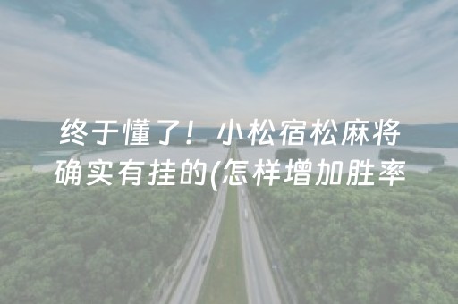 终于懂了！小松宿松麻将确实有挂的(怎样增加胜率)