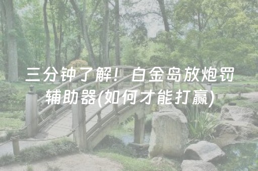 三分钟了解！白金岛放炮罚辅助器(如何才能打赢)