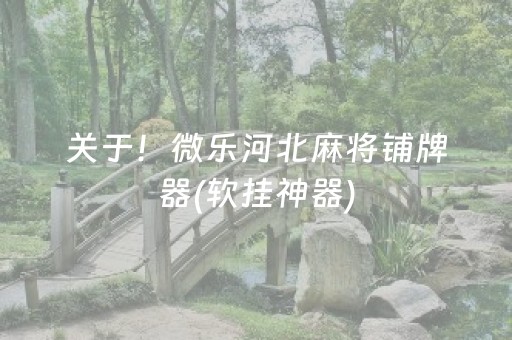 关于！微乐河北麻将铺牌器(软挂神器)