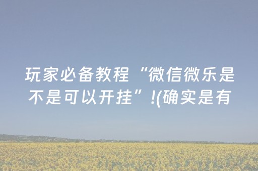 玩家必备教程“微信微乐是不是可以开挂”!(确实是有挂)-抖音