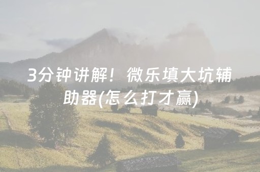 3分钟讲解！微乐填大坑辅助器(怎么打才赢)