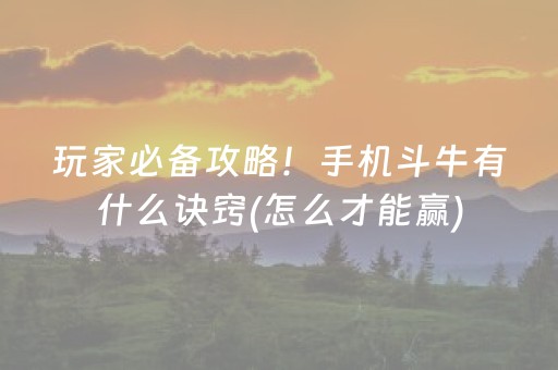 玩家必备攻略！手机斗牛有什么诀窍(怎么才能赢)