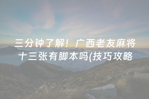 三分钟了解！广西老友麻将十三张有脚本吗(技巧攻略怎样拿好牌)