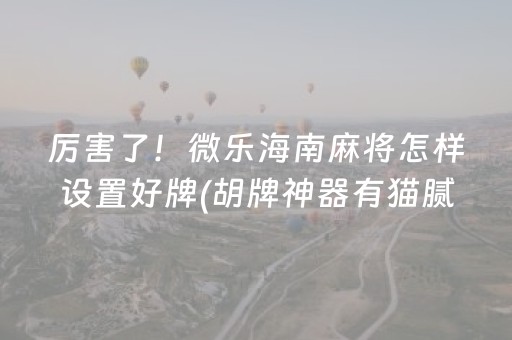 厉害了！微乐海南麻将怎样设置好牌(胡牌神器有猫腻吗)