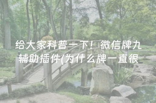 给大家科普一下！微信牌九辅助插件(为什么牌一直很差)