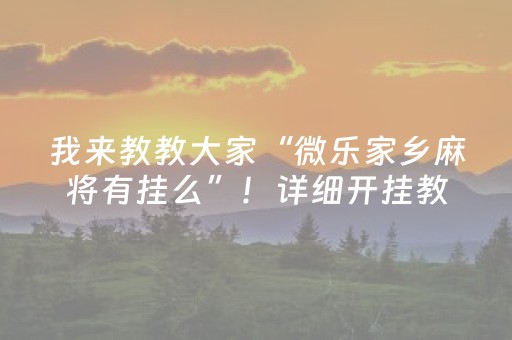 终于发现了“微信小程序雀神辅助器苹果版（专用辅牌神器免安装）