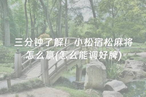 三分钟了解！小松宿松麻将怎么赢(怎么能调好牌)