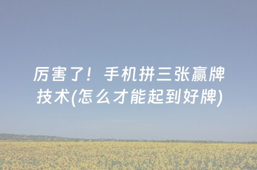 分享辅助“手机十三张外挂（专用辅牌神器免安装）