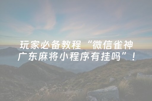 教程辅助“怎么肉眼识别程序麻将机”（详细透视教程）-哔哩哔哩
