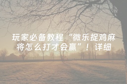 玩家必备教程“微乐捉鸡麻将怎么打才会赢”！详细开挂教程（确实真的有挂)-抖音