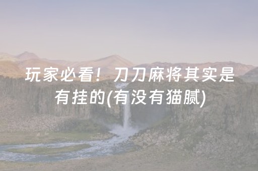 玩家必看！刀刀麻将其实是有挂的(有没有猫腻)