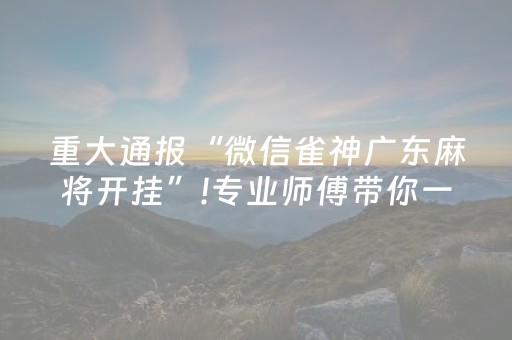 重大通报“微信雀神广东麻将开挂”!专业师傅带你一起了解（详细教程）-抖音