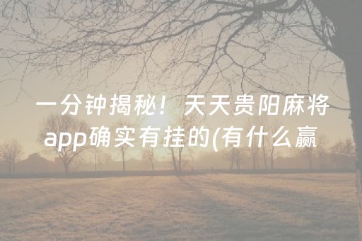 一分钟揭秘！天天贵阳麻将app确实有挂的(有什么赢的技巧)