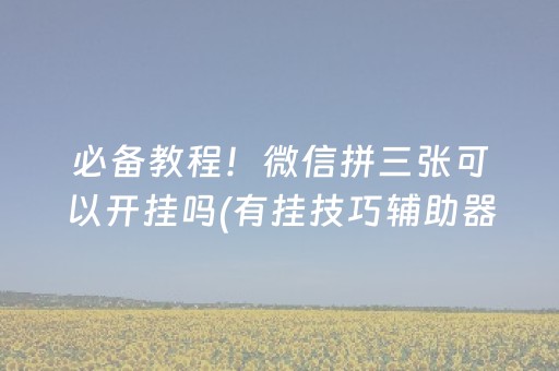 3分钟学会“手机金花透明辅助插件安装（专用辅牌神器免安装）