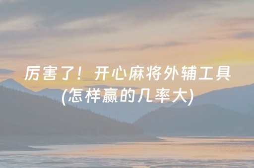 厉害了！开心麻将外辅工具(怎样赢的几率大)