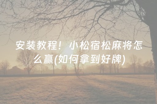 安装教程！小松宿松麻将怎么赢(如何拿到好牌)