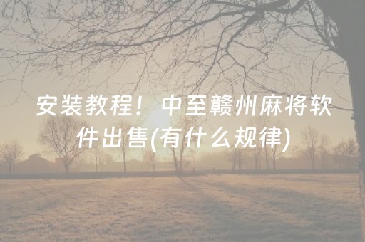安装教程！中至赣州麻将软件出售(有什么规律)