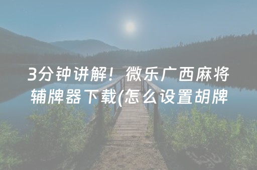 3分钟讲解！微乐广西麻将辅牌器下载(怎么设置胡牌)