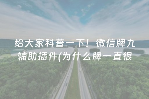 给大家科普一下！微信牌九辅助插件(为什么牌一直很差)