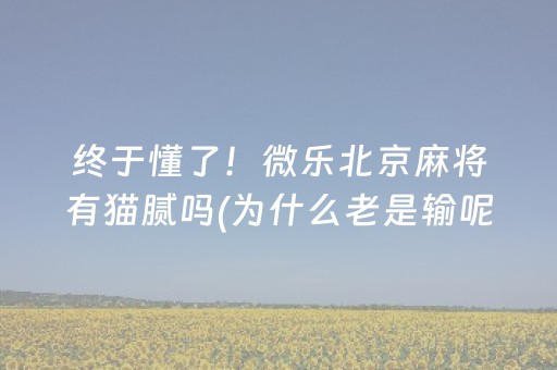 终于懂了！微乐北京麻将有猫腻吗(为什么老是输呢)
