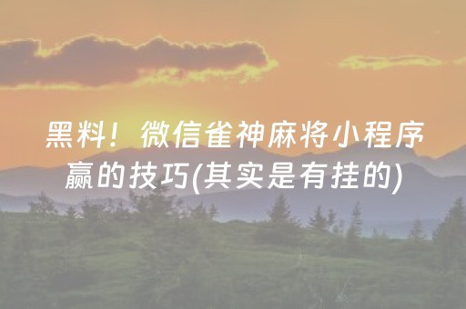 必看教程“微乐山东麻将助手神器”（详细透视教程）-哔哩哔哩