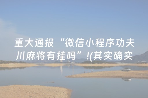 重大通报“微信小程序功夫川麻将有挂吗”!(其实确实有挂)-抖音