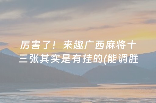 厉害了！来趣广西麻将十三张其实是有挂的(能调胜率吗)