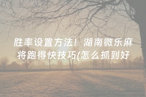 胜率设置方法！湖南微乐麻将跑得快技巧(怎么抓到好牌)