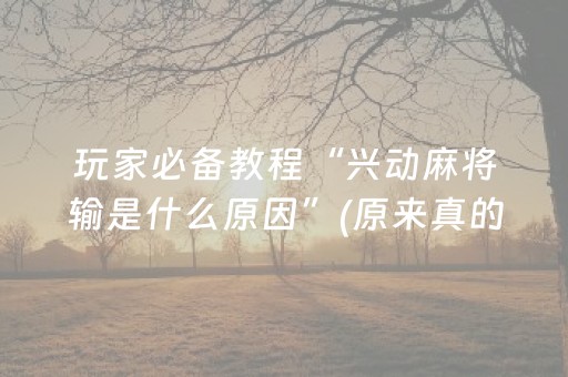 玩家必备教程“兴动麻将输是什么原因”(原来真的有挂)-抖音