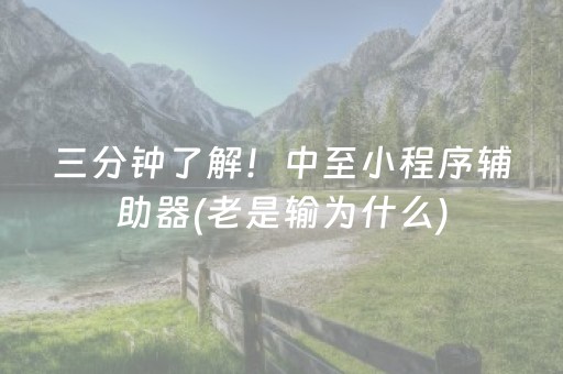 三分钟了解！中至小程序辅助器(老是输为什么)