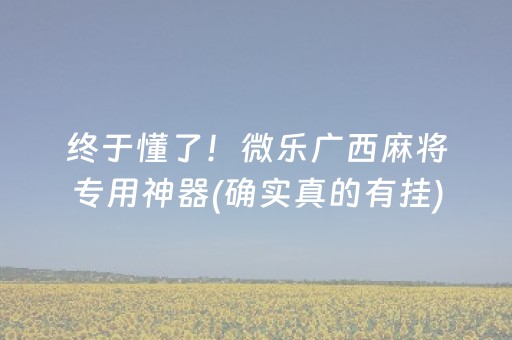 终于懂了！微乐广西麻将专用神器(确实真的有挂)