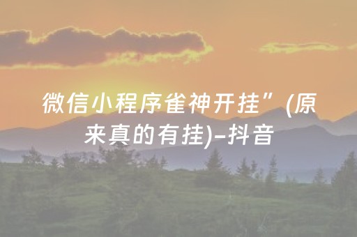 微信小程序雀神开挂”(原来真的有挂)-抖音
