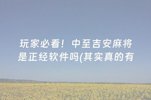 玩家必看！中至吉安麻将是正经软件吗(其实真的有挂)