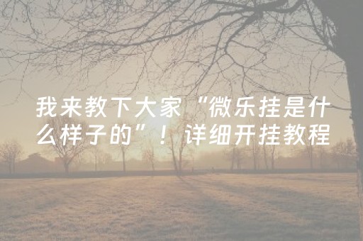 我来教下大家“微乐挂是什么样子的”！详细开挂教程（确实真的有挂)-抖音