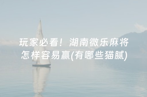 广州美食排行榜前十名（广州美食排行榜前十名店）