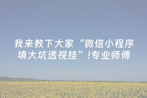 我来教下大家“微信小程序填大坑透视挂”!专业师傅带你一起了解（详细教程）-抖音