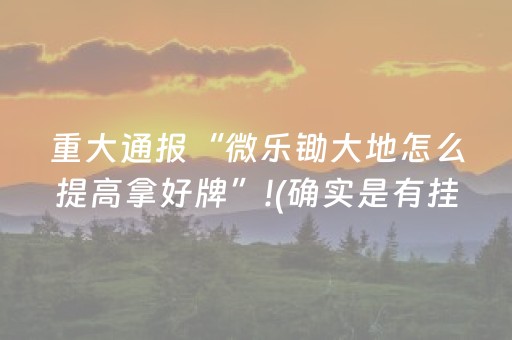 新版本“微乐家乡麻将助赢神器”（详细透视教程）-哔哩哔哩