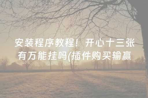 安装程序教程！开心十三张有万能挂吗(插件购买输赢规律)